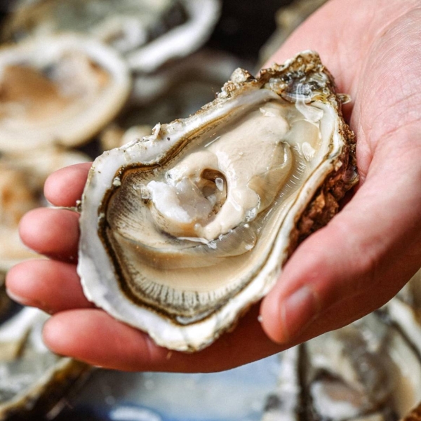 La carte - Colonel Popote - restaurant BARBERAZ