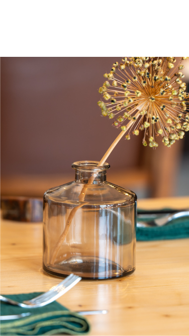 Colonel Popote - Fontaine des Éléphants - Château des Ducs de Savoie - Parc du Verney - restaurant BARBERAZ - Restaurant Chambery - restaurant sympa BARBERAZ